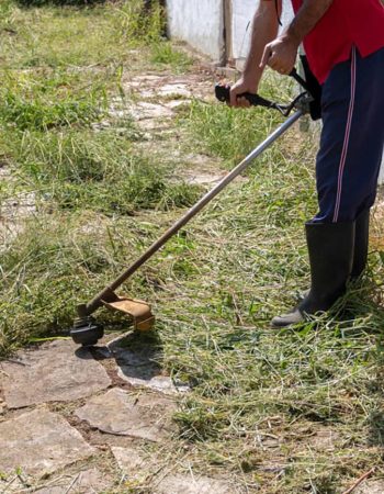 Kelowna Weed wacker wacking